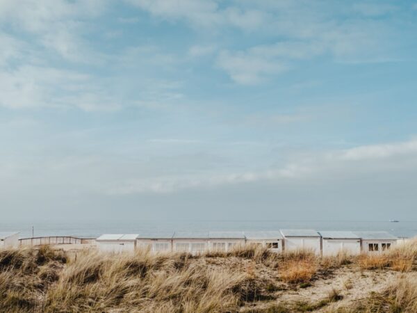 Bernard hermant Bks3 EF Mn X7 Y unsplash