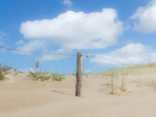 Geike verniers k Cyd Jl X Si EQ unsplash